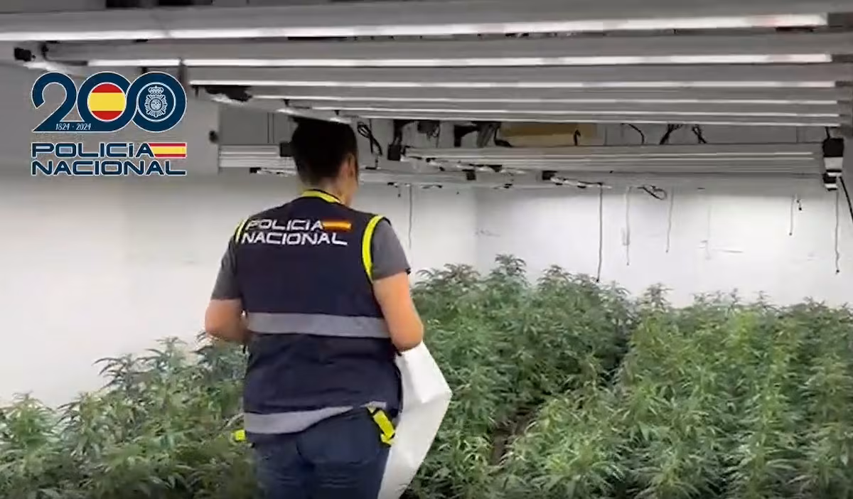 Golpe al narcotráfico en Málaga: marihuana entre palés de pienso animal y dinero escondido en el congelador